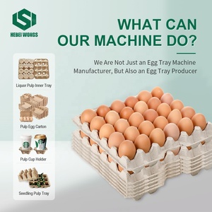 Автоматическая линия для производства лотков для яиц WONGS WS 6-8 (6500-7500 шт./час), формовочная машина из пульпы, энергосберегающее промышленное оборудование - Product Image 5