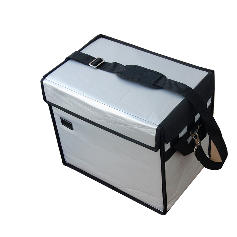 Professional Delivery Leather Thermal Cold Chain Medical Vaccine