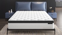 Meubles de chambre à coucher d'hôtel modernes d'usine, lit de rêve, matelas roulé, mousse à mémoire de forme en gel de 14 pouces, ressort ensaché, mousse de polyuréthane
