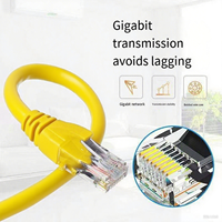 Mendukung kustomisasi CAT5 CAT5E 3m komunikasi RJ45 26AWG Transfer Data aman untuk Smart Home & Office - LAN Cable