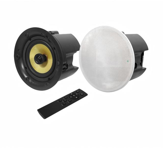 V Powerful ABS Ceiling Speaker with Balanced Tweeter for Museums Premium Hospitality Audio Zones Ceiling Speaker