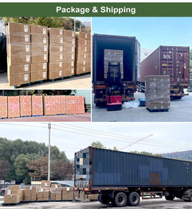 Gobelet à couvercle rabattable de 40oz avec poignée et paille en acier inoxydable sans BPA Bouteille d'eau résistante aux fuites avec LOGO personnalisé-Réutilisable - Product Image 6