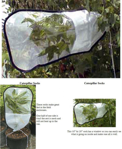 Toptan şube böcek yaprak kafes şube kafes özelleştirilmiş böcek kafes bahçe bitki meyve koruyucu çanta kapakları - Product Image 5