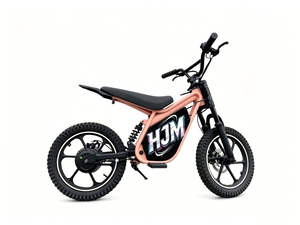 Vente directe d'usine, moto électrique tout-terrain 500w 36v, moto électrique tout-terrain à vendre - Product Image 1