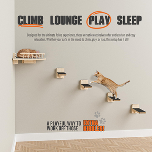 Treo tường góc mèo Giường mèo Kệ bước đồ nội thất vật nuôi cho mèo trong nhà leo nhảy cá rô gãi bài viết cho tường - Product Image 5