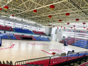 도매 그랜드 스탠드 텔레스코픽 탈착식 표백제 의자 경기장 플라스틱 시트 스포츠 및 엔터테인먼트 공장 가격 - Product Image 6