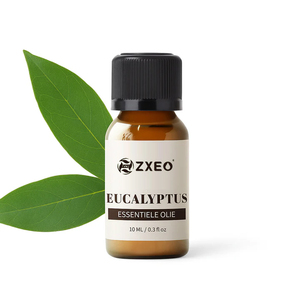Aceite Esencial de Eucalipto <span class=keywords><strong>para</strong></span> Difusor y Vaporizador, 10 ml, Marca Privada OEM con Empaque Personalizado - Product Image 1