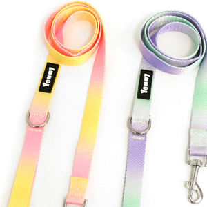 Laisse pour animaux de compagnie YM1983 Rainbow Gradient Salad Ribbon 2.0*120cm - Product Image 2