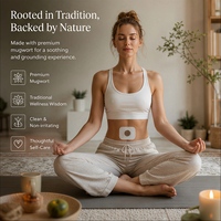 Patch de moxibustion personnalisable en usine pour le nombril, pansement à base de plantes non tissé pour les soins corporels à domicile