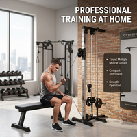 Station de musculation murale Hv Sport Fitness avec système de poulies doubles et machine à triceps en acier