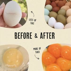 مستلزمات صحة الدجاج - معزز البيض اليومي - صفار ذهبي وأغلفة أقوى - مكونات طبيعية 100٪ - مسحوق 450 جرام - Product Image 5