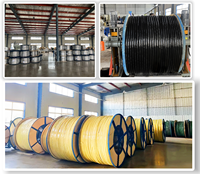 Cable Calefactor de Potencia Constante de Acero Inoxidable 316L, Núcleo Doble de 8 mm, -40°C ℃ ~180 ℃   Aislamiento de Fibra de Vidrio, Tubo Industrial Personalizado