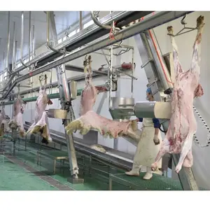 Garis penyembur domba Halal lengkap 600 kepala Per hari, proses daging domba