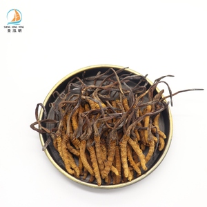 Hongo Cordyceps Luofmiss Silvestre Natural Puro a Granel de Alta Calidad, Hongo Orgánico, Compre Cordyceps <span class=keywords><strong>Sinensis</strong></span> - Product Image 3