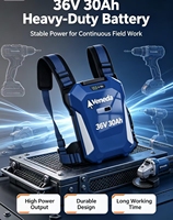 Harga Pabrik 36V 30Ah Baterai Lithium-ion Isi Ulang untuk Mesin Pemotong Rumput Model Ransel dengan Kabel Adaptor