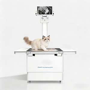 Équipement de diagnostic vétérinaire : Système de radiographie dynamique sur pied pour cliniques vétérinaires, scanner <span class=keywords><strong>CT</strong></span> à bras en C DX-VF1 CE - Product Image 1