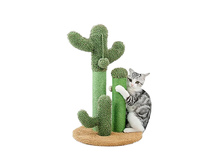 Vente en gros usine Entrepôt Canada Arbre à chat Cactus avec 3 poteaux à gratter et balles suspendues