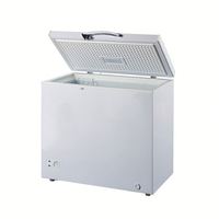 Onduleur de congélateur de porte, 200l, avec poignée latérale, robuste, nouveauté, vente en gros