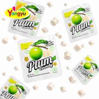 Bonbons aux Prunes en Gros, Boîte de 30 Pièces, Halal, Sucrés et Acidulés