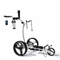 Chariot de golf électrique au lithium à haut degré personnalisé en Chine avec télécommande