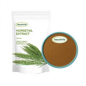 Healthife Grosir Berkualitas Tinggi Ekstrak Tumbuhan Bubuk Ekstrak Horsetail 7% Silika - Product Image 1