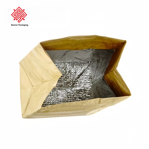 Baoren Lightweight Brown 1070d Tyvek Dupont Paper <b>Cooler</b> Bag Custom Insulated Aluminum Foil Food Grade for Lunch - Product Image 3