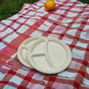 Papel desechable y plancha de pulpa de caña de azúcar para comida, aperitivos para pizza, sándwich, hamburguesa, galleta, comida para mascotas - Product Image 4