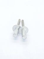 Rivets aveugles à extrémité fermée personnalisables de haute qualité, multi-styles, à tête dôme, en aluminium et acier inoxydable, avec gamme de mandrins de préhension – Vente chaude