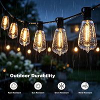 Guirlandes lumineuses G40/ST38 en gros, étanches IP65, ampoules Edison blanc chaud, éclairage extérieur pour jardin, bistrot, terrasse