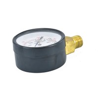 Hot Sales Double-An Y60 Axial Radial Black Steel Shell Brass Connection Bourdon Tube 0-250bar Carbon Dioxide Pressure Gauge