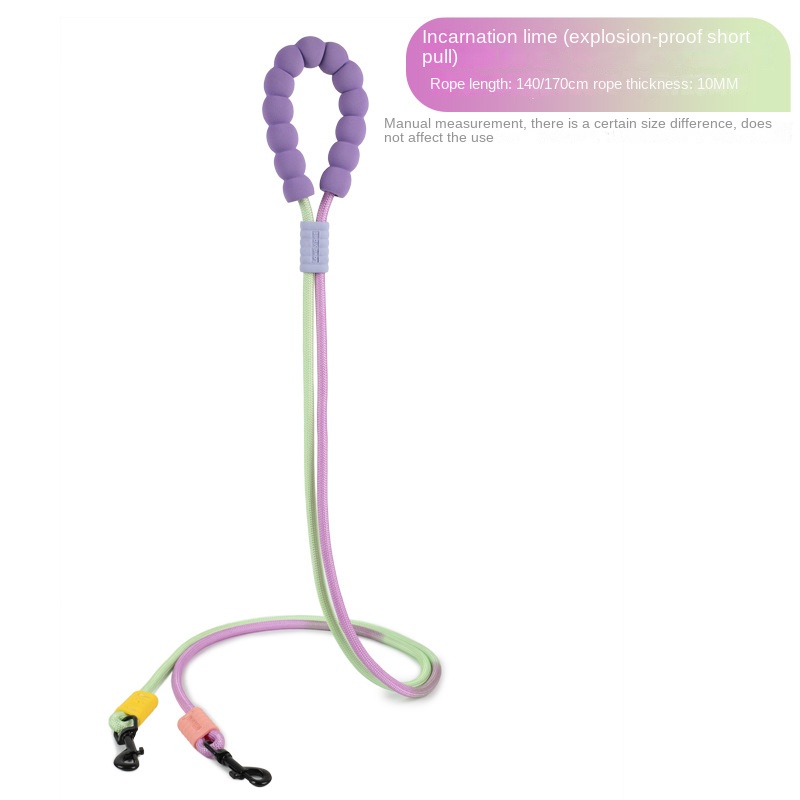 Product Summary: Multifunctional Double Dog Leash, iPhone 15 Pro Max, Smart Watch More