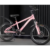 Vélo VTT Très Demandé 18 20 22 24 Pouces avec Nouveau Cadre en Acier Bonne Qualité pour Filles et Enfants