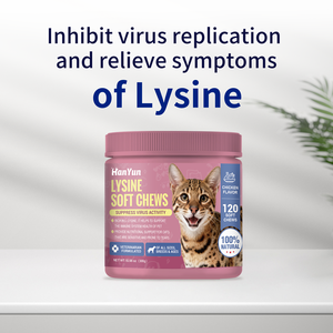 Complément alimentaire OEM/ODM <span class=keywords><strong>pour</strong></span> chats : Friandises molles à la <span class=keywords><strong>lysine</strong></span> <span class=keywords><strong>pour</strong></span> soutenir le système immunitaire et la <span class=keywords><strong>lysine</strong></span> à double force - Product Image 3