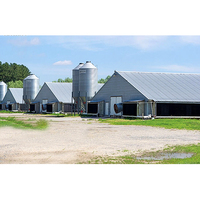 Soluciones completas a gran escala Casa de aves de corral automática para pollos 10000 Diseños de gallinero de granja de estilo Abierto Cerrado