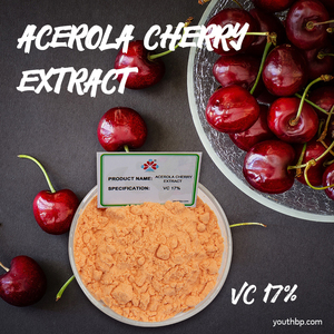 Tự nhiên 1kg Acerola <span class=keywords><strong>Cherry</strong></span> lá chiết xuất 17% Vitamin C thực phẩm/mỹ phẩm lớp có thể đóng gói thảo dược bột màu trắng bổ sung - Product Image 3