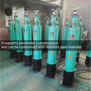 <span class=keywords><strong>Pompe</strong></span> de dragage centrifuge verticale submersible électrique triphasée multi-étages haute pression pour <span class=keywords><strong>eaux</strong></span> usées de <span class=keywords><strong>surface</strong></span>, piscine et étang - Product Image 4