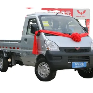 Camions de fret de haute qualité tout nouveau camion de fret à essence 4x2 2 places mini camion Wuling