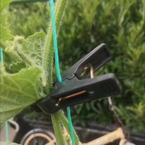 Clip de suspension à ressort en plastique pour soutien des concombres, outil de croissance verticale des vigne, clips de fixation des feuilles pour plantes grimpantes - Product Image 1