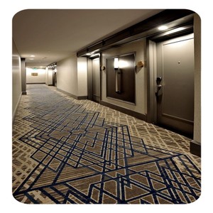 <span class=keywords><strong>Tapis</strong></span> mur à mur Wilton pour <span class=keywords><strong>tapis</strong></span> d'hôtel de luxe et <span class=keywords><strong>tapis</strong></span> de <span class=keywords><strong>couloir</strong></span> d'hôtel de luxe - Product Image 6