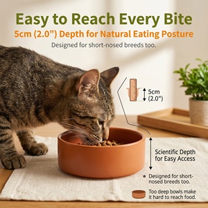 Tazón de Cerámica Minimalista Japonés <span class=keywords><strong>para</strong></span> <span class=keywords><strong>Gatos</strong></span>, 13 cm de Ancho, con Relieve <span class=keywords><strong>para</strong></span> la Nariz, Sin Plomo, Antideslizante, 8 Colores, Apto <span class=keywords><strong>para</strong></span> Microondas, OEM - Product Image 4
