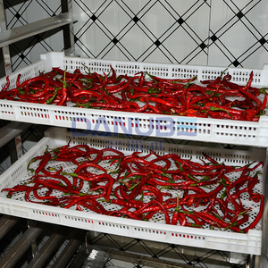 Horno de Secado de Chiles de Alta Calidad con Bomba de Calor, Máquina Deshidratadora de Chiles, Equipo Deshidratador de Chiles - Product Image 3