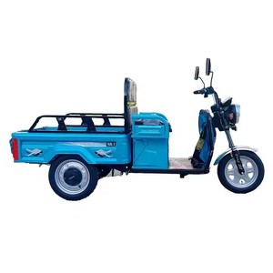 Triciclo Eléctrico de 60V 320W 1000W con Certificación EEC, Fabricado en China, Disponible para Envío Antes de Navidad - Product Image 4