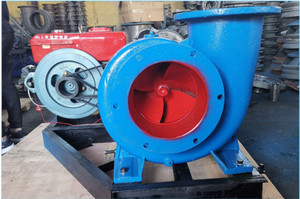 Bomba de Flujo Mixto HW, Motor Grande, Bomba Centrífuga para Riego Agrícola, Compre Bombas de Agua para Fábricas y Granjas H - Product Image 5
