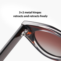 Gafas de Sol de Diseñador al por Mayor, de Marca de Lujo, Unisex, Retro, TR90, Acetato, Moda Y2K, Estilo Ojo de Gato, Polarizadas, con Logotipo Personalizado para Mujer