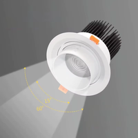 Projecteur LED Zoom Beam, fabricant de spots encastrés au plafond réglables, à intensité variable, angle de faisceau OEM, pour intérieur
