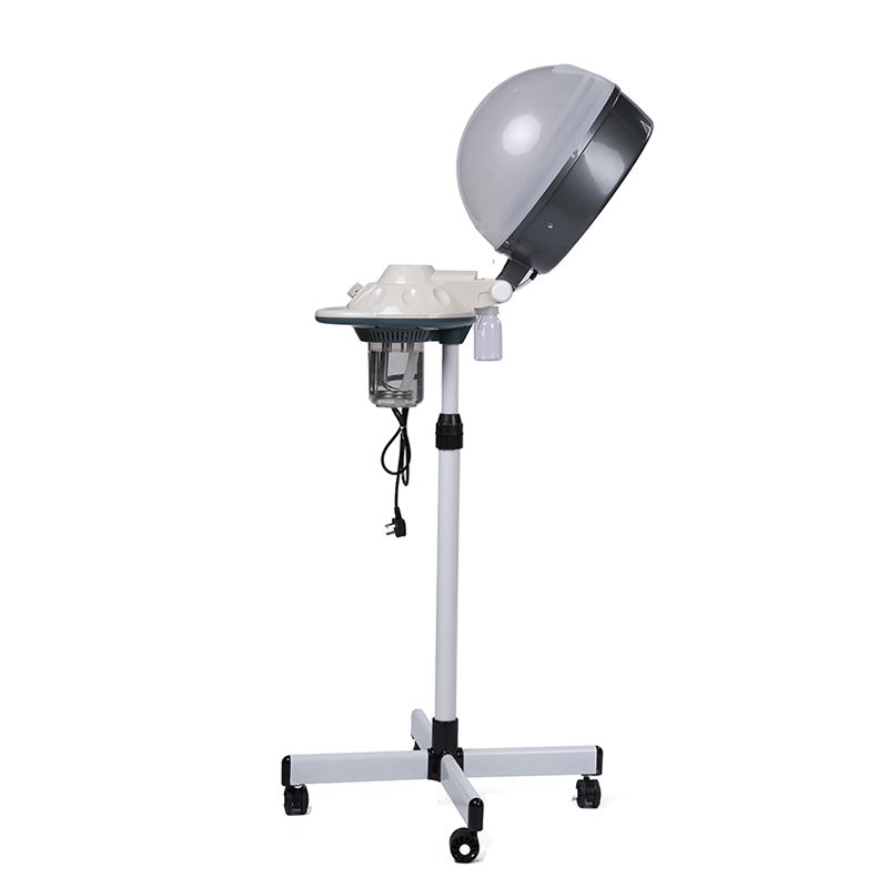 Secador de pelo y vaporizador: soluciones eficientes para salones