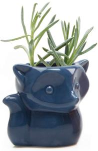 Macetas de Cerámica al por Mayor, Macetas de Flores con Diseño de Animales de Dibujos Animados, Rata, Búho, Zorro, Oso, Cactus, Mini Macetas de Cerámica para Suculentas - Product Image 4