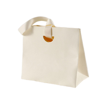 Tas Kado Kertas Kraft Daur Ulang Warna Ivory Perak dengan Logo Kustom untuk Pakaian, Kaos Kaki, Sepatu, Perhiasan & Jam Tangan