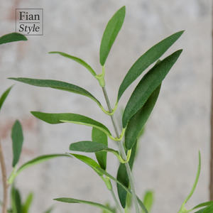 กิ่งมะกอกพลาสติกคุณภาพสูง งานแฮนด์เมด พร้อมกระถาง ตกแต่งสไตล์เมดิเตอร์เรเนียน สำหรับงานแต่งงานและโรงแรม - Product Image 4