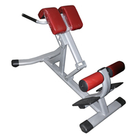 Chaise romaine d'extension de dos d'équipement commercial de gymnastique pour l'entraînement de force abdominale de banc d'hyperextension de musculation